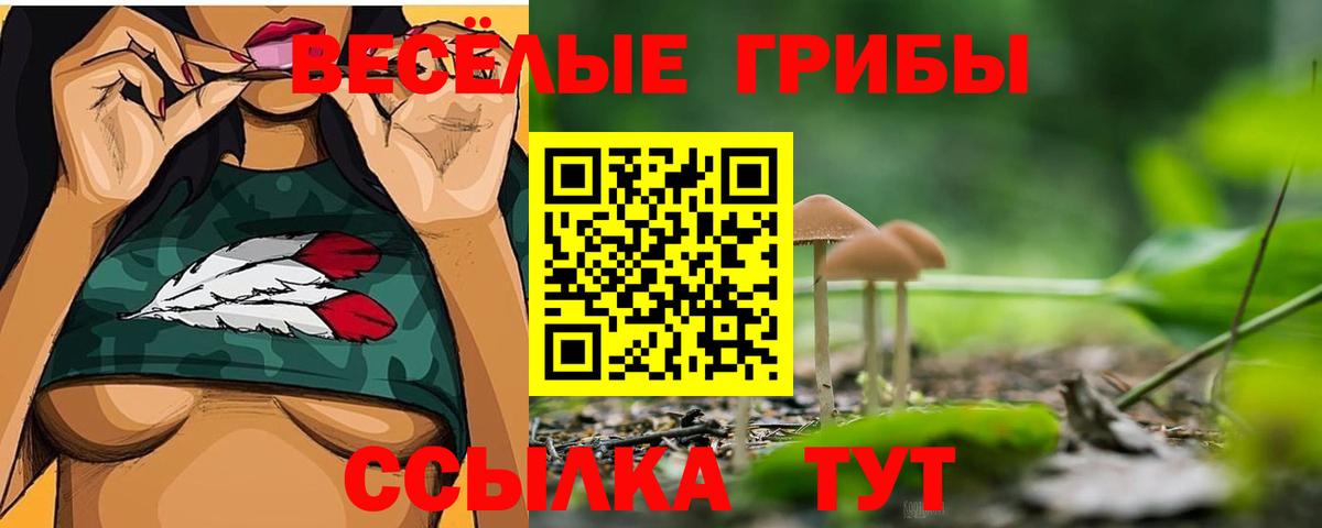 Псилоцибиновые грибы прущие грибы  Галлюциногенные грибы GOLDEN TEACHER  Протвино  даркнет сайт  Вход с VPN 